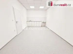 Pronájem komerční nemovitosti, Most, J. A. Komenského, 40 m2