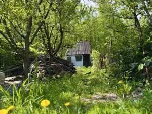 Prodej zahrady, Meziboří, 332 m2