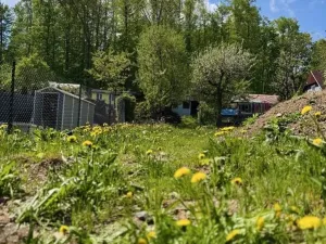 Prodej zahrady, Meziboří, 332 m2