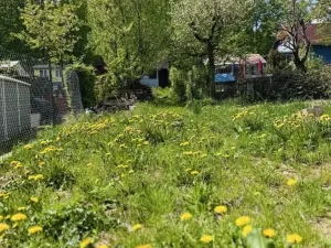 Prodej zahrady, Meziboří, 332 m2