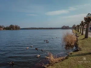 Prodej chaty, Chlum u Třeboně, 62 m2