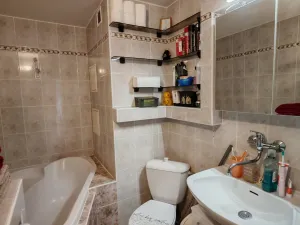 Prodej bytu 1+1, Liberec, Dobiášova, 34 m2