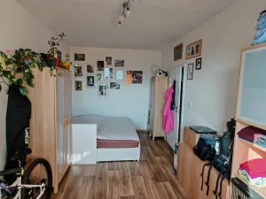 Prodej bytu 1+1, Liberec, Dobiášova, 34 m2