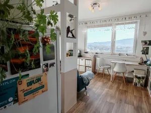 Prodej bytu 1+1, Liberec, Dobiášova, 34 m2