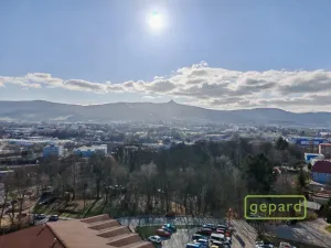 Prodej bytu 1+1, Liberec, Dobiášova, 34 m2