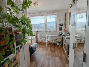 Prodej bytu 1+1, Liberec, Dobiášova, 40 m2