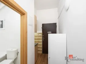 Prodej bytu 1+kk, Praha - Strašnice, Za poštou, 30 m2