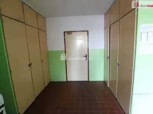 Pronájem bytu 2+1, Lázně Kynžvart, Dlouhá, 65 m2