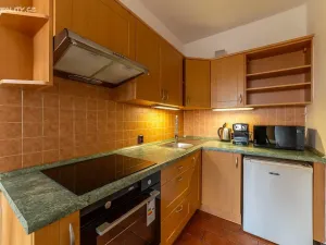 Pronájem bytu 2+kk, Brno - Staré Brno, Bezručova, 49 m2