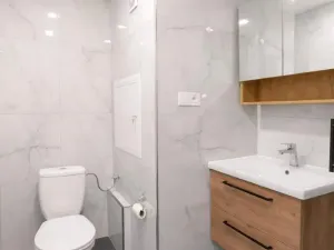 Pronájem bytu 2+1, Most, Maxe Švabinského, 55 m2