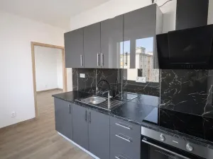 Pronájem bytu 2+1, Most, Maxe Švabinského, 55 m2