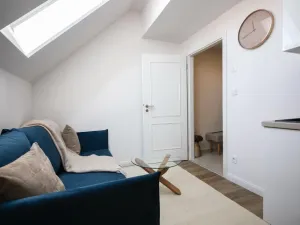 Pronájem bytu 3+kk, Praha - Nové Město, Biskupská, 50 m2