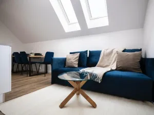 Pronájem bytu 3+kk, Praha - Nové Město, Petrská, 50 m2