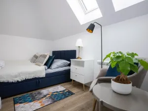 Pronájem bytu 3+kk, Praha - Nové Město, Petrská, 50 m2