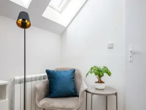 Pronájem bytu 3+kk, Praha - Nové Město, Petrská, 50 m2