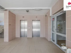 Prodej bytu 1+kk, Brno, Horácké náměstí, 24 m2