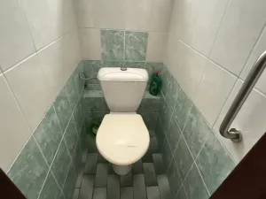 Prodej chaty, Holubov - Krasetín, 94 m2