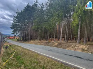 Prodej pozemku pro bydlení, Příchovice - Zálesí, Příchovice, 2190 m2