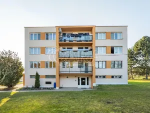 Prodej bytu 3+1, Netvořice, Sídliště II., 73 m2