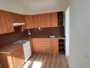 Prodej bytu 2+1, Frýdek-Místek - Frýdek, Novodvorská, 45 m2