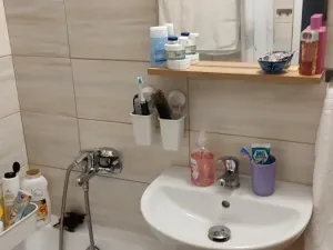 Prodej bytu 2+1, Frýdek-Místek - Frýdek, Novodvorská, 45 m2