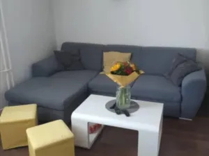 Prodej bytu 1+kk, Budišov nad Budišovkou, Na Sídlišti, 23 m2