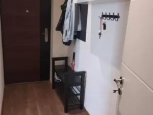 Prodej bytu 1+kk, Budišov nad Budišovkou, Na Sídlišti, 23 m2