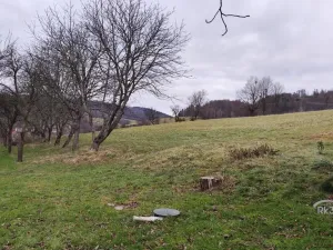 Prodej rodinného domu, Kozlovice, 162 m2