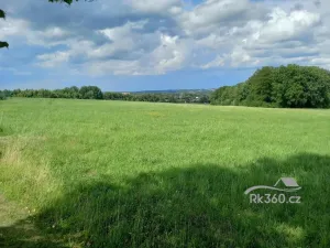 Prodej komerčního pozemku, Horní Domaslavice, 7800 m2