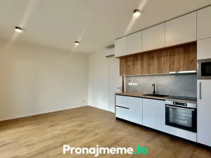 Pronájem bytu 1+kk, Znojmo, Vídeňská třída, 36 m2