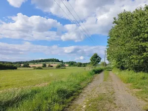 Pronájem chalupy, Mladý Smolivec, 65 m2