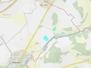 Dražba pole, Mladé Bříště, 9114 m2