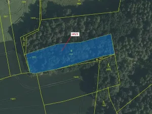 Dražba pozemku, Nerestce, 2436 m2