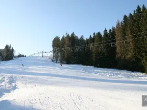 Prodej pozemku pro bydlení, Kraslice, Pod lesem, 630 m2