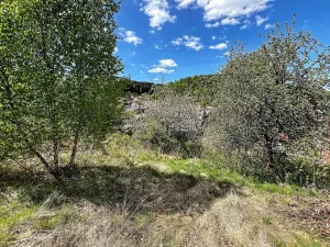 Prodej pozemku pro bydlení, Kraslice, 1039 m2