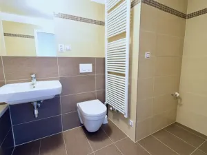 Pronájem bytu 1+kk, Brno - Slatina, Řípská, 40 m2