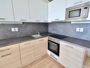 Pronájem bytu 1+kk, Brno - Slatina, Řípská, 40 m2