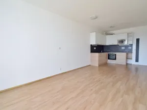 Pronájem bytu 1+kk, Brno - Slatina, Řípská, 40 m2