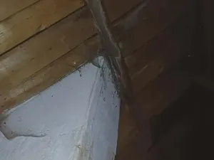 Prodej chalupy, Sněžné, 80 m2