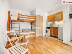 Prodej bytu 1+kk, Praha - Žižkov, Milíčova, 19 m2