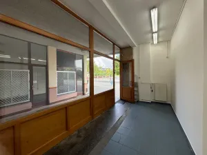 Pronájem obchodního prostoru, Plzeň - Skvrňany, Karla Steinera, 14 m2