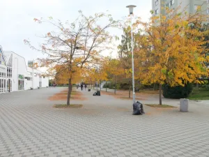 Pronájem obchodního prostoru, Plzeň - Skvrňany, Karla Steinera, 14 m2