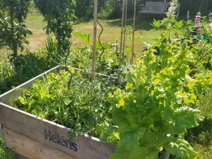 Prodej zahrady, Žlutice, 569 m2