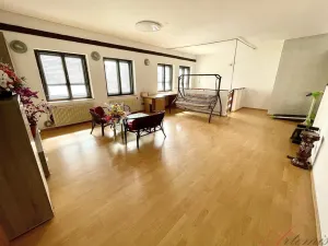 Pronájem rodinného domu, Ostrava - Hrabůvka, Edisonova, 248 m2