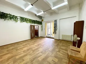 Pronájem rodinného domu, Ostrava - Hrabůvka, Edisonova, 248 m2