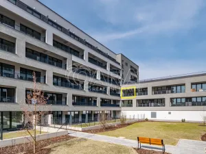 Pronájem bytu 1+kk, Praha - Hloubětín, Poděbradská, 39 m2