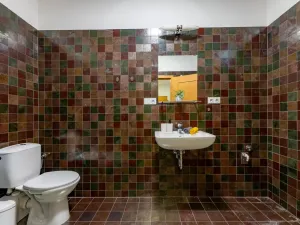 Prodej rodinného domu, Plzeň, Květná, 222 m2