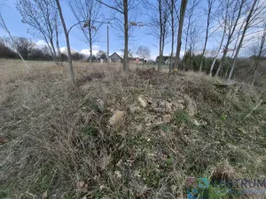 Prodej pozemku, Libuň - Jivany, 11210 m2