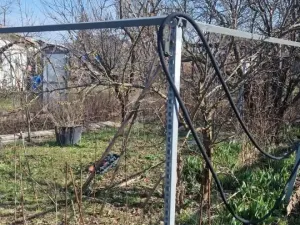 Prodej zahrady, Chomutov, Na Průhoně, 363 m2