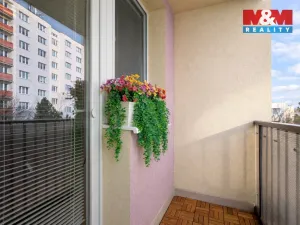 Prodej bytu 3+1, Benešov, Hráského, 66 m2